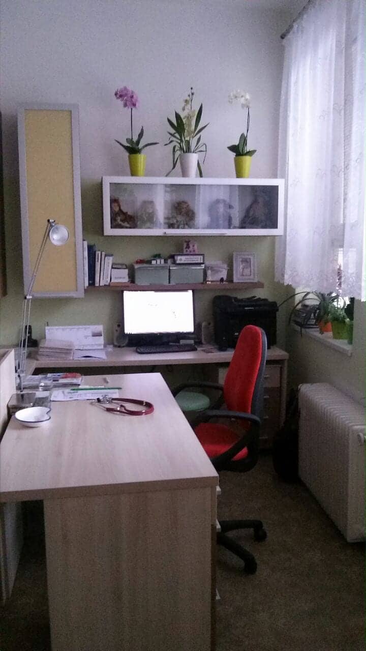 Moderní pracovna dětského lékaře s počítačem a květinami.