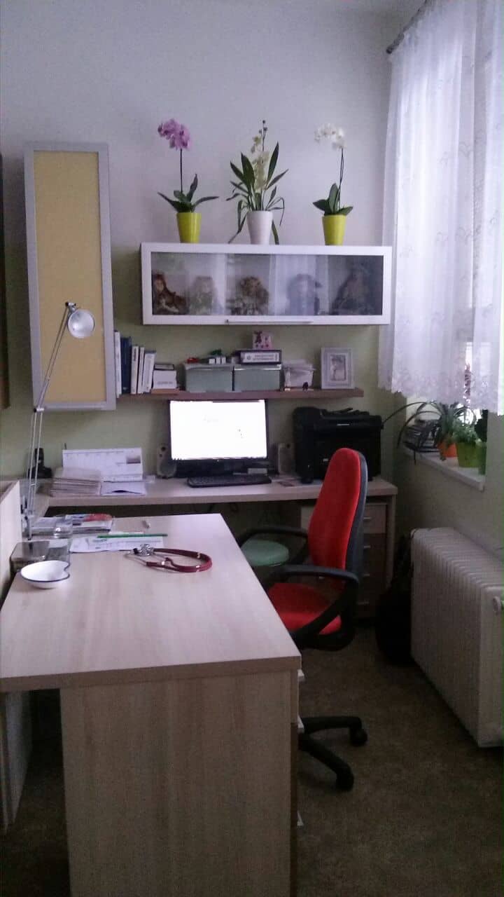 Moderní pracovna dětského lékaře s počítačem a květinami.